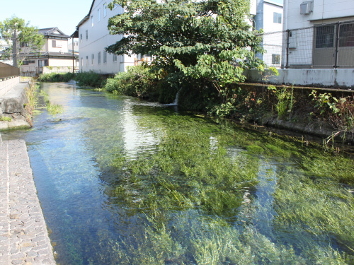 田宿橋の画像