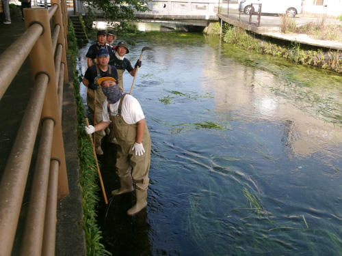 田宿川清掃活動の画像