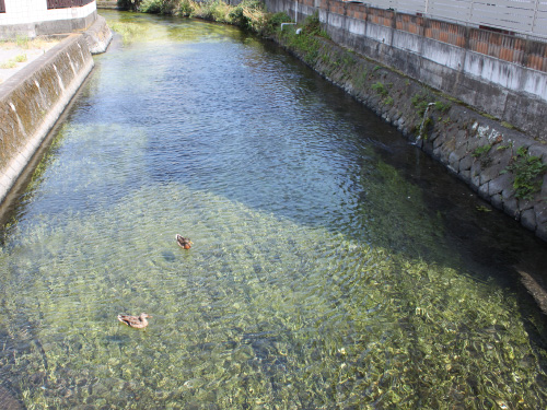 田宿川の画像